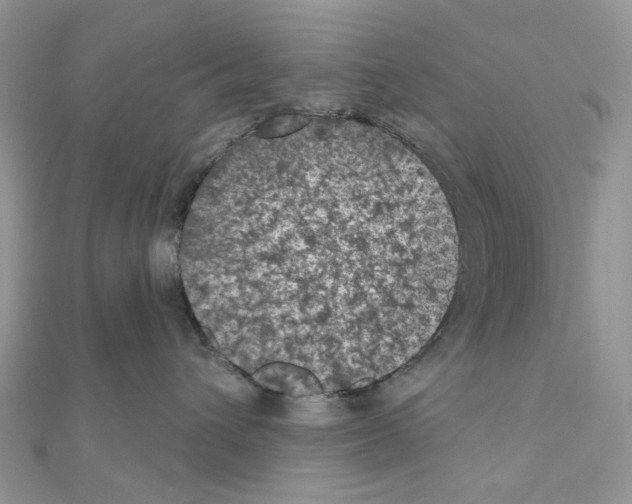 X0000111000432200907311035