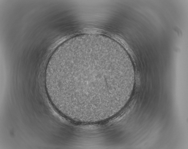 X0000111000433200907311034