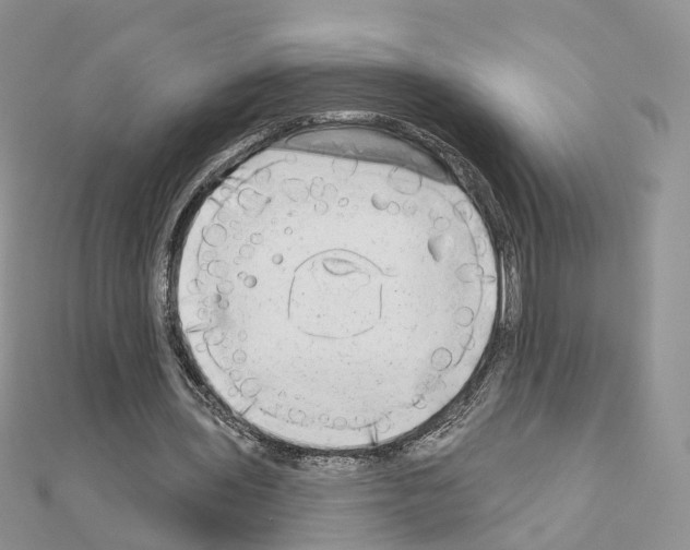 X0000111000435200907311034