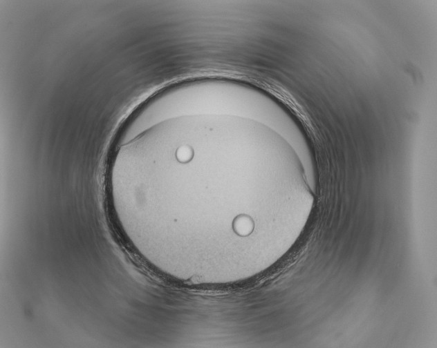 X0000111000436200907311034