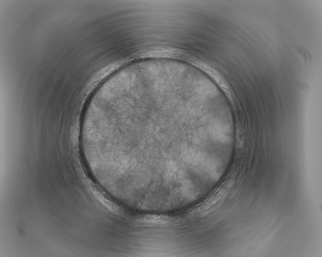 X0000111000437200907311034