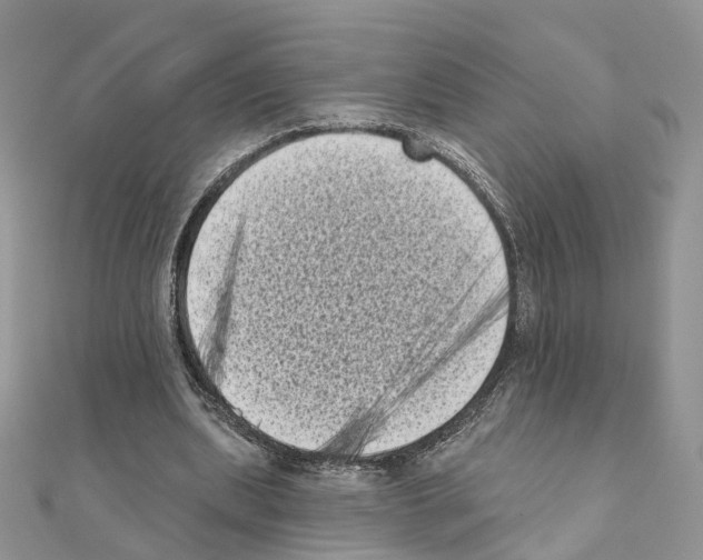 X0000111000439200907311034