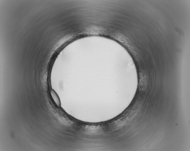 X0000111000440200907311034