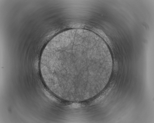 X0000111000441200907311034