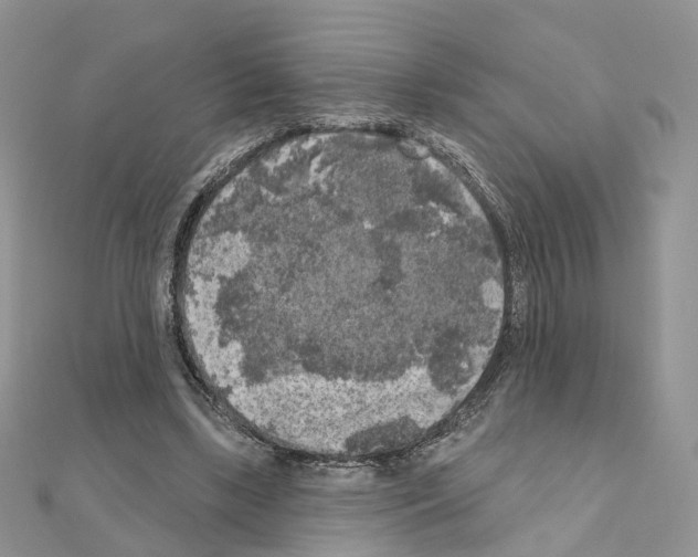 X0000111000443200907311034