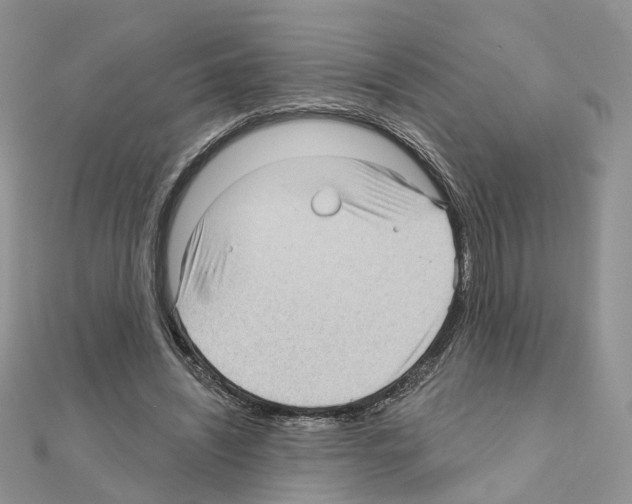 X0000111000444200907311034