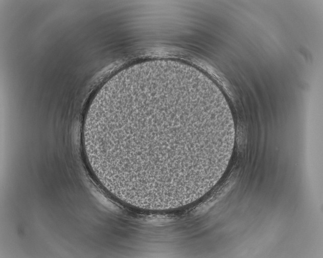 X0000111000445200907311034