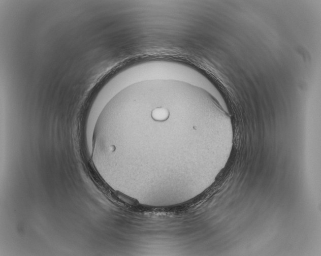 X0000111000448200907311034