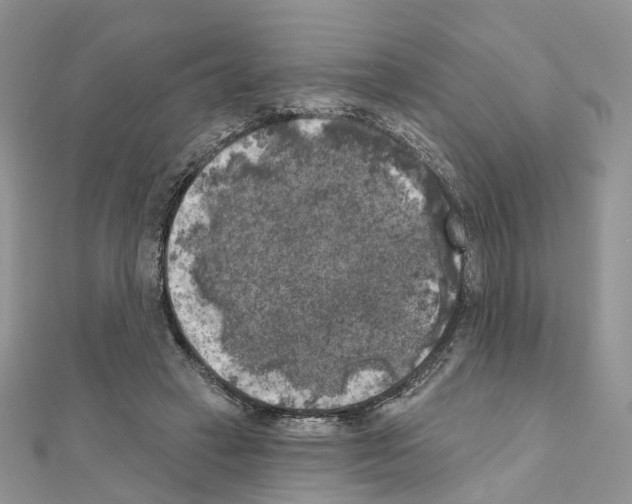 X0000111000449200907311034