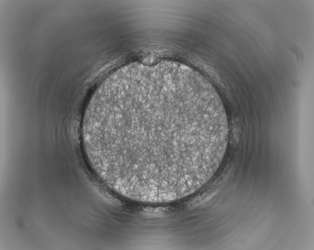 X0000111000450200907311034