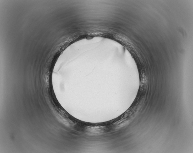 X0000111000452200907311034