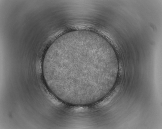 X0000111000453200907311034