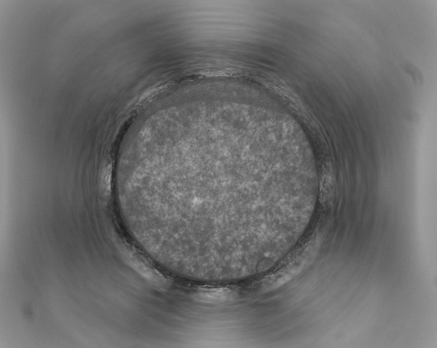 X0000111000454200907311034