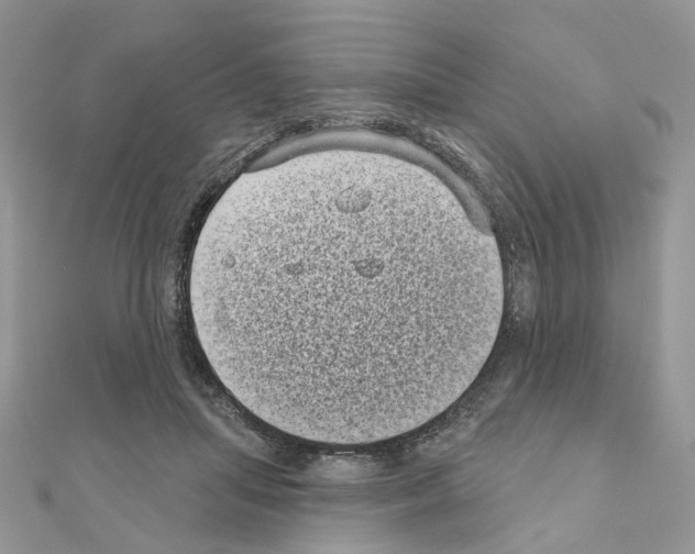 X0000111000455200907311034