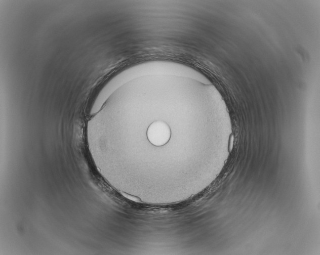 X0000111000456200907311034