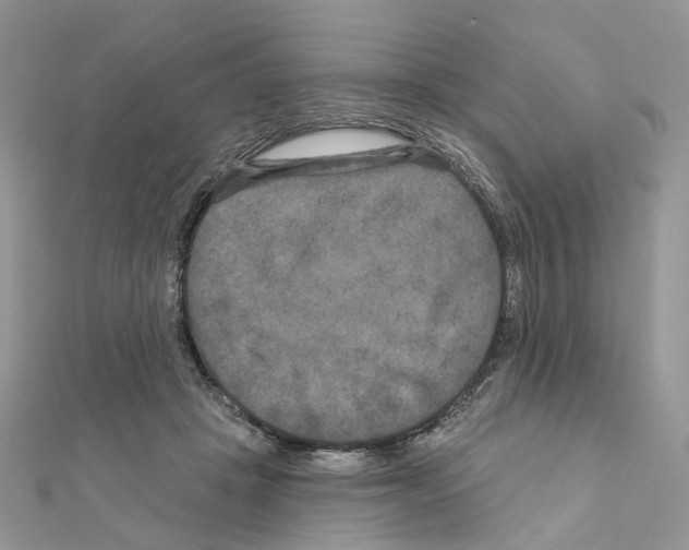 X0000111000457200907311034