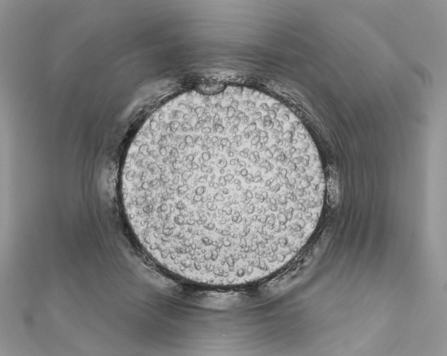 X0000111000458200907311034