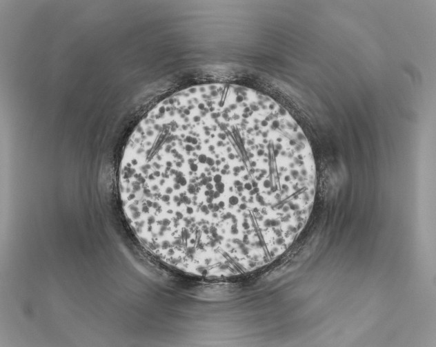 X0000111000459200907311034