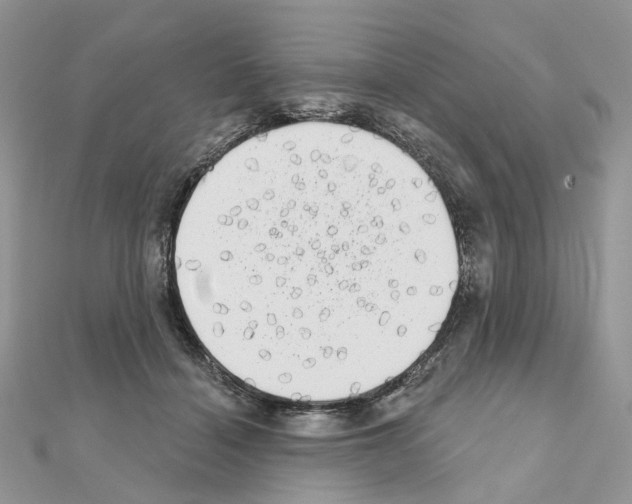 X0000111000460200907311034