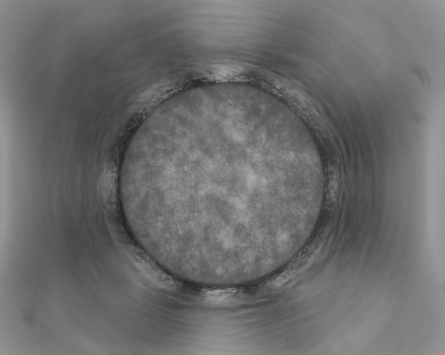 X0000111000461200907311034