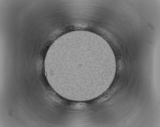 X0000111000463200907311034