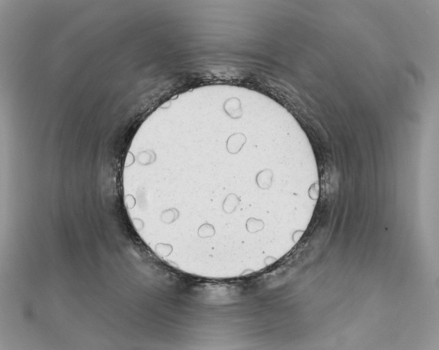 X0000111000464200907311034