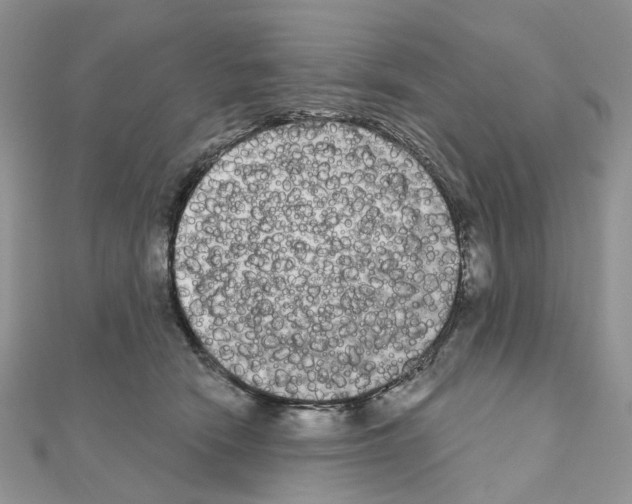 X0000111000466200907311034