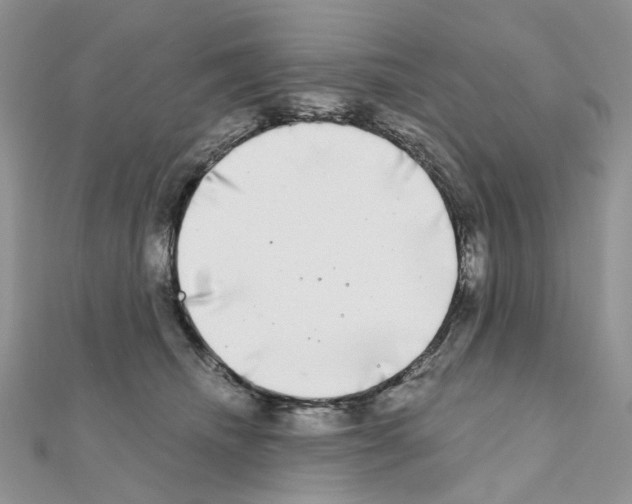 X0000111000468200907311034