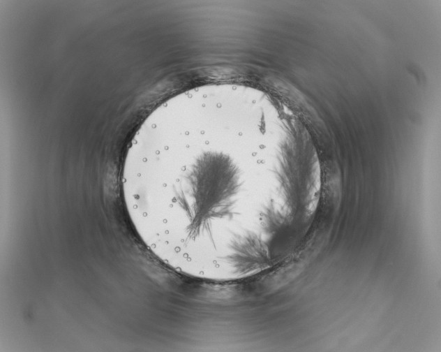 X0000111000469200907311034