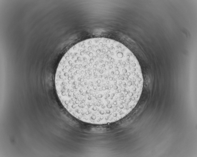 X0000111000470200907311034