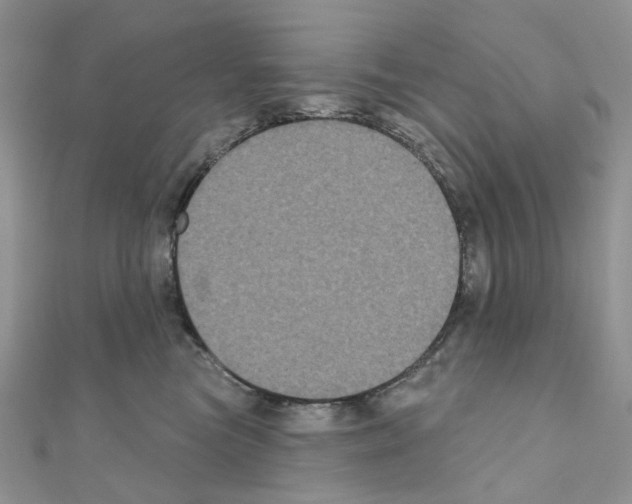 X0000111000473200907311035