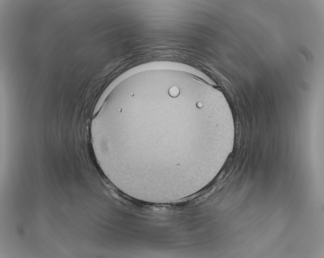 X0000111000475200907311035