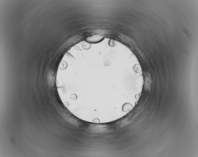 X0000111000476200907311035