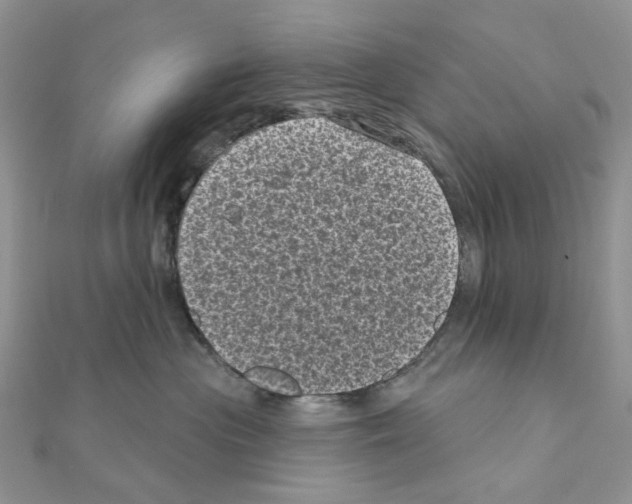 X0000111000477200907311035