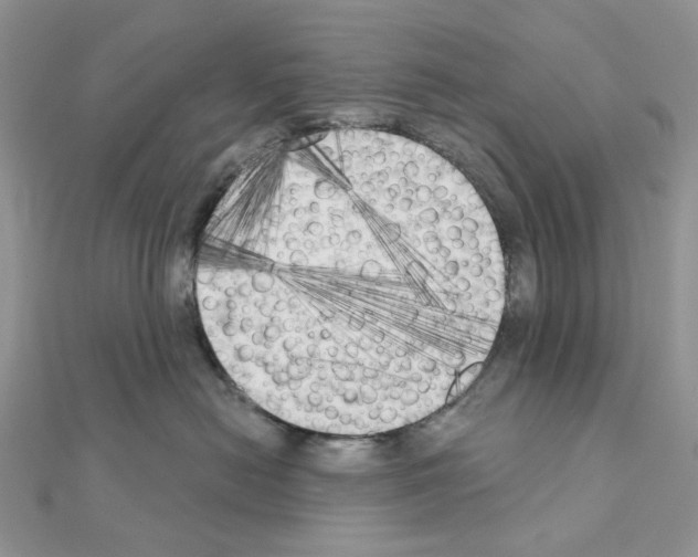 X0000111000478200907311035