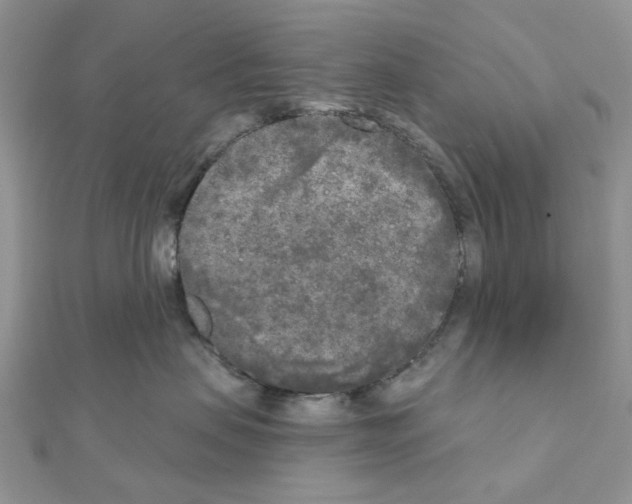 X0000111000479200907311035