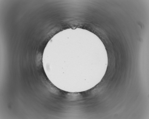 X0000111000480200907311035