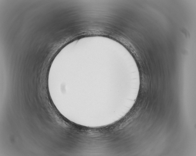 X0000111000481200907311034