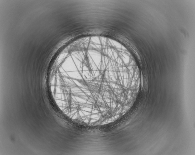 X0000111000483200907311034