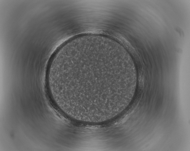 X0000111000484200907311034