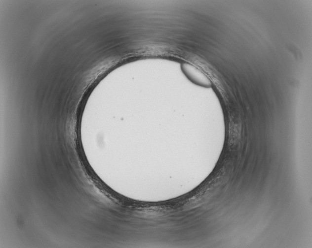 X0000111000485200907311034