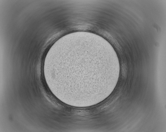 X0000111000486200907311034