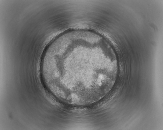 X0000111000487200907311034