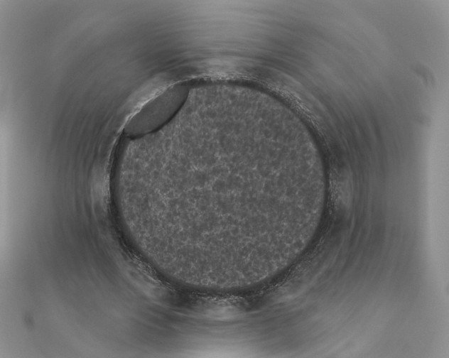 X0000111000488200907311034