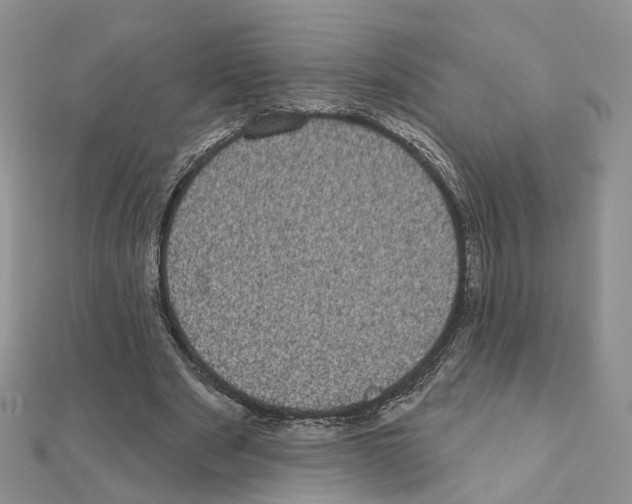 X0000111000489200907311034