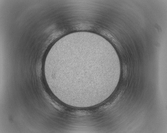 X0000111000490200907311034