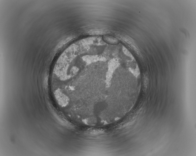 X0000111000491200907311034