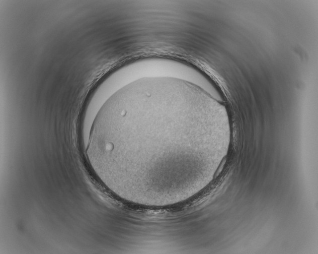 X0000111000493200907311034