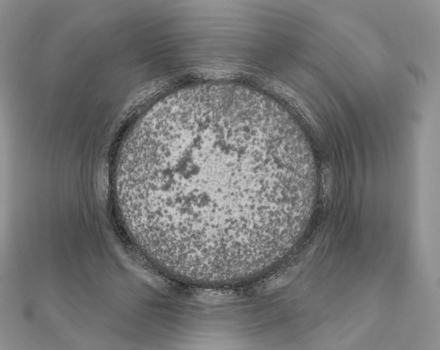 X0000111000494200907311034