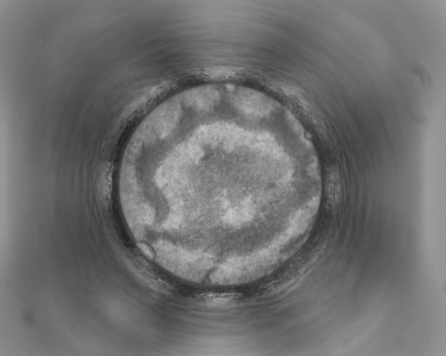 X0000111000495200907311034